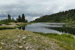 Fly Fishing