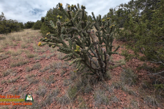Hiking-Arroyo-Hondo-Trail-Action4-08-15-2025_000042_02