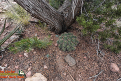 Hiking-Arroyo-Hondo-Trail-Action4-08-15-2025_000256_05