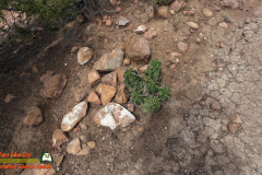 Hiking-Arroyo-Hondo-Trail-Action4-08-15-2025_000315_06