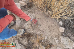 Hiking-Tsankawi-Pueblo-10-08-2024-Insta360-Ace-Pro_000740_15