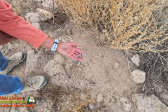Hiking-Tsankawi-Pueblo-10-08-2024-Insta360-Ace-Pro_000759_17
