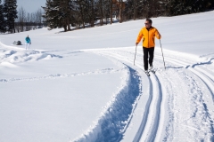 New-Mexico-cross-country-skier-1920