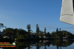 Bald-Eagle-Perched-Shakett-Creek-FZ80-11-28-2019-Pcomposed_000137_05