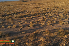 Burros-Mile-West-Mine-Anafi-01-12-2020-Pcomposed_000045_02