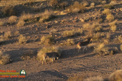 Burros-Mile-West-Mine-Anafi-01-12-2020-Pcomposed_000052_03