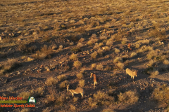 Burros-Mile-West-Mine-Anafi-01-12-2020-Pcomposed_000156_07