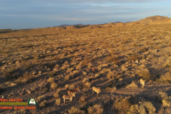 Burros-Mile-West-Mine-Anafi-01-12-2020-Pcomposed_000228_10