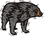New Mexico Black Bear
