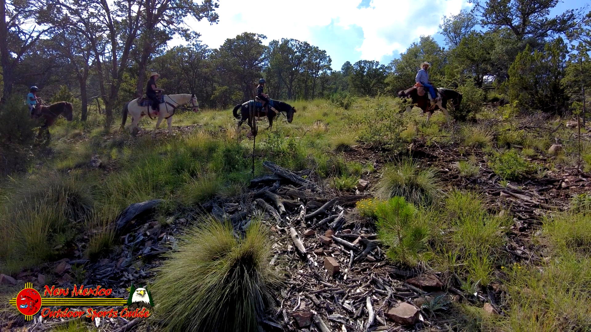 Horseback Trail Ride Cibola National Forest