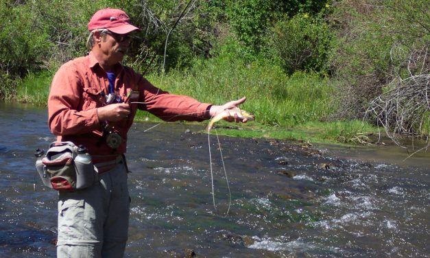 Public Access to Cimarron River Trout Fishing