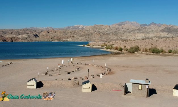 Lake Mohave Telephone Cove North Picnic Area and Shoreline Fishing Access