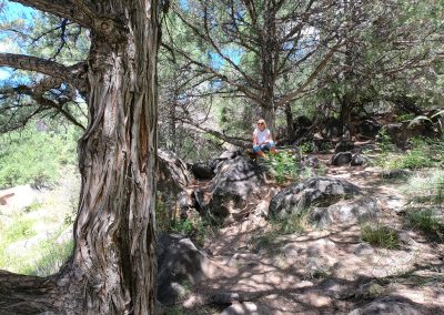Discovering Wild Rivers Recreation Area: New Mexico's Hidden Canyon Gem 9 Wild Rivers Big Arsenic Paulette