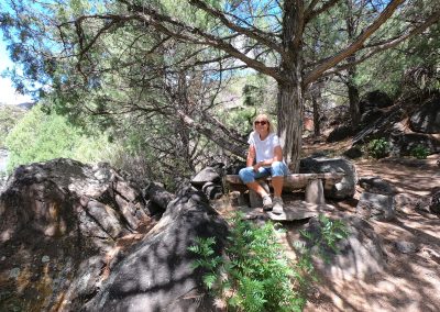 Discovering Wild Rivers Recreation Area: New Mexico's Hidden Canyon Gem 8 Wild Rivers Big Arsenic Paulette