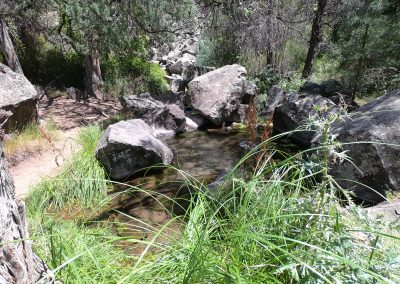 Discovering Wild Rivers Recreation Area: New Mexico's Hidden Canyon Gem 5 Wild Rivers Big Arsenic