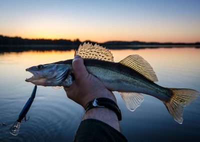 Abiqui Lake Walleye Fishing
