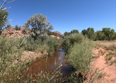 Jemez River La Junta Trout Fishing Public Access Hero7 07 01 2020 GH010863 00:00:03 01