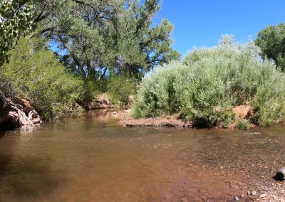 Jemez River La Junta Trout Fishing Public Access Hero7 07 01 2020 GH010927 00:00:20 01