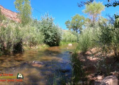 Jemez River Las Casitas Trout Fishing Public Access Anafi Hero7 07 01 2020 00:03:42 06