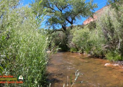 Jemez River Las Casitas Trout Fishing Public Access Anafi Hero7 07 01 2020 00:04:17 09