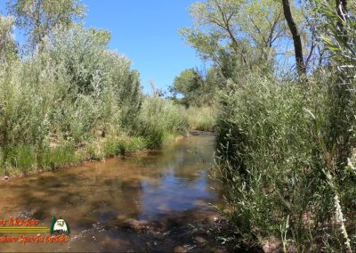 Jemez River Las Casitas Trout Fishing Public Access Anafi Hero7 07 01 2020 00:04:26 10