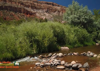 Jemez River S Bend Trout Fishing Public Access Anafi Osmo Pocket 07 01 2020 00:02:57 03