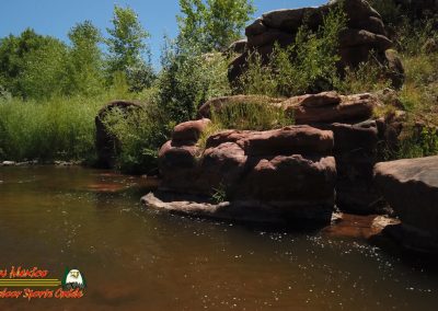 Jemez River S Bend Trout Fishing Public Access Anafi Osmo Pocket 07 01 2020 00:03:30 04