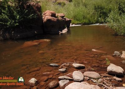 Jemez River S Bend Trout Fishing Public Access Anafi Osmo Pocket 07 01 2020 00:03:57 05