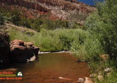 Jemez River S Bend Trout Fishing Public Access Anafi Osmo Pocket 07 01 2020 00:04:07 06