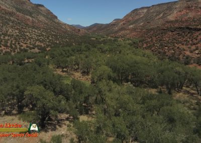 Jemez River San Diego Trout Fishing Public Access Anafi Osmo Pocket 07 01 2020 00:00:16 01