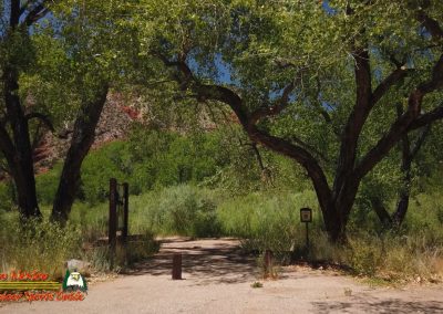 Jemez River San Diego Trout Fishing Public Access Anafi Osmo Pocket 07 01 2020 00:02:02 04