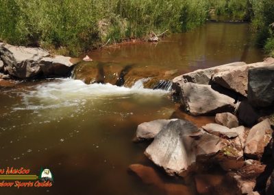 Jemez River San Diego Trout Fishing Public Access Anafi Osmo Pocket 07 01 2020 00:02:47 06