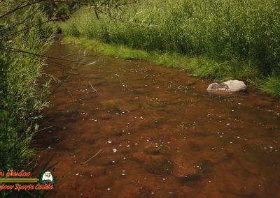 Jemez River San Diego Trout Fishing Public Access Anafi Osmo Pocket 07 01 2020 00:04:11 08