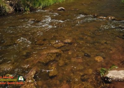 Jemez River San Diego Trout Fishing Public Access Anafi Osmo Pocket 07 01 2020 00:04:52 09