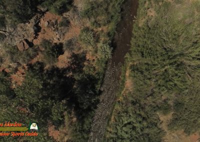 Jemez River Spanish Queen Trout Fishing Public Access Anafi Osmo Pocket 07 01 2020 00:00:18 01