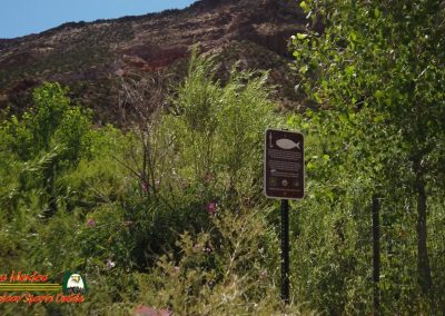 Jemez River Spanish Queen Trout Fishing Public Access Anafi Osmo Pocket 07 01 2020 00:03:38 05