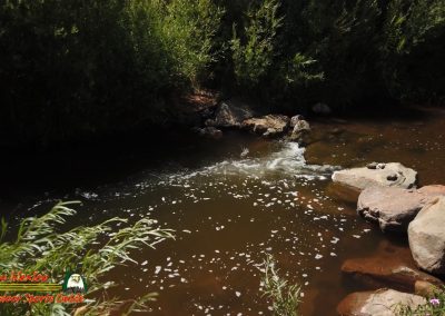 Jemez River Spanish Queen Trout Fishing Public Access Anafi Osmo Pocket 07 01 2020 00:03:55 07