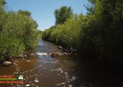 Jemez River Spanish Queen Trout Fishing Public Access Anafi Osmo Pocket 07 01 2020 00:04:32 09