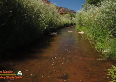 Jemez River Spanish Queen Trout Fishing Public Access Anafi Osmo Pocket 07 01 2020 00:04:42 10
