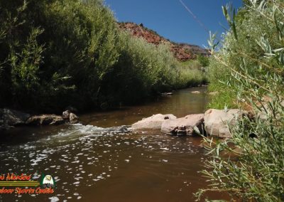 Jemez River Spanish Queen Trout Fishing Public Access Anafi Osmo Pocket 07 01 2020 00:04:59 11