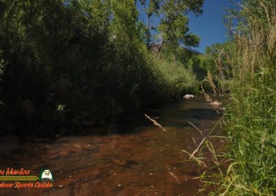Jemez River The Bluffs Trout Fishing Public Access Anafi Osmo Pocket 07 01 2020 00:02:15 02