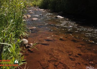 Jemez River The Bluffs Trout Fishing Public Access Anafi Osmo Pocket 07 01 2020 00:02:36 03