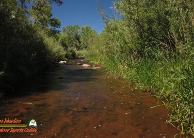 Jemez River The Bluffs Trout Fishing Public Access Anafi Osmo Pocket 07 01 2020 00:03:14 04