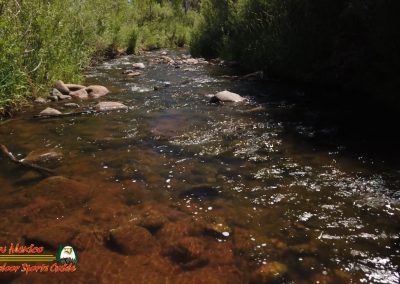 Jemez River The Bluffs Trout Fishing Public Access Anafi Osmo Pocket 07 01 2020 00:03:34 05