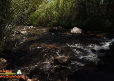 Jemez River Vista Linda Campground Trout Fishing Public Access Anafi Osmo Pocket 07 01 2020 00:03:03 03