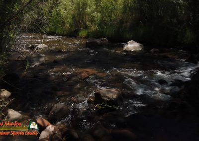 Jemez River Vista Linda Campground Trout Fishing Public Access Anafi Osmo Pocket 07 01 2020 00:03:11 04