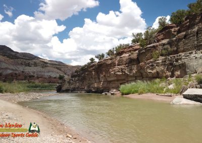 Rio Chama Bid Eddy Trout Fishing Public Access Osmo Pocket 07 14 2020 00:01:54 05