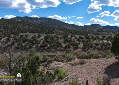 Rio Chama Ruins Pcomposed 00:00:22 01