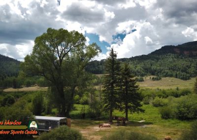 Rio Chama Basin Headwaters Trout Fishing 7 Chama River Basin Trout Fishing Public Access Mavic Pro Osmo Pocket 07 15 2020 00:01:23 03