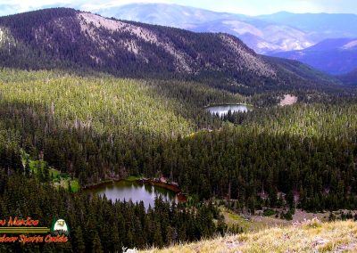 Latir Peak Bighorns 00:00:35 01